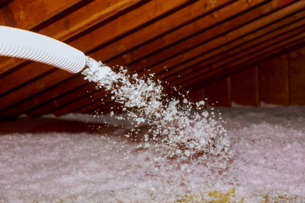 Best Types of Insulation in Burbank, WA